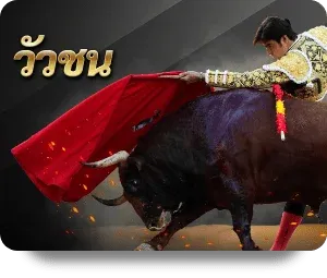 imgi_9_img-bullfight-square-th